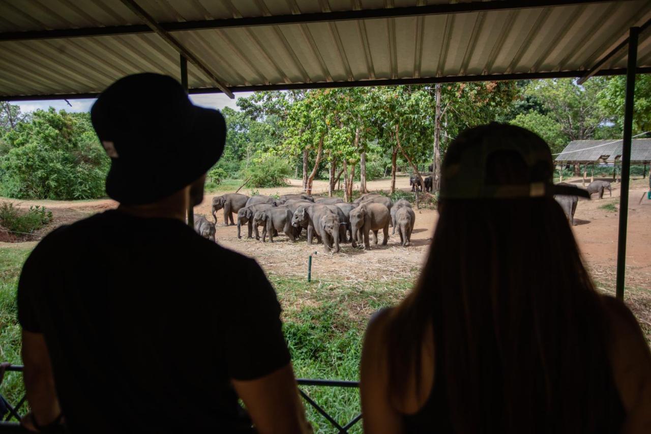 Kalu'S Hideaway Udawalawe Hotel Ngoại thất bức ảnh