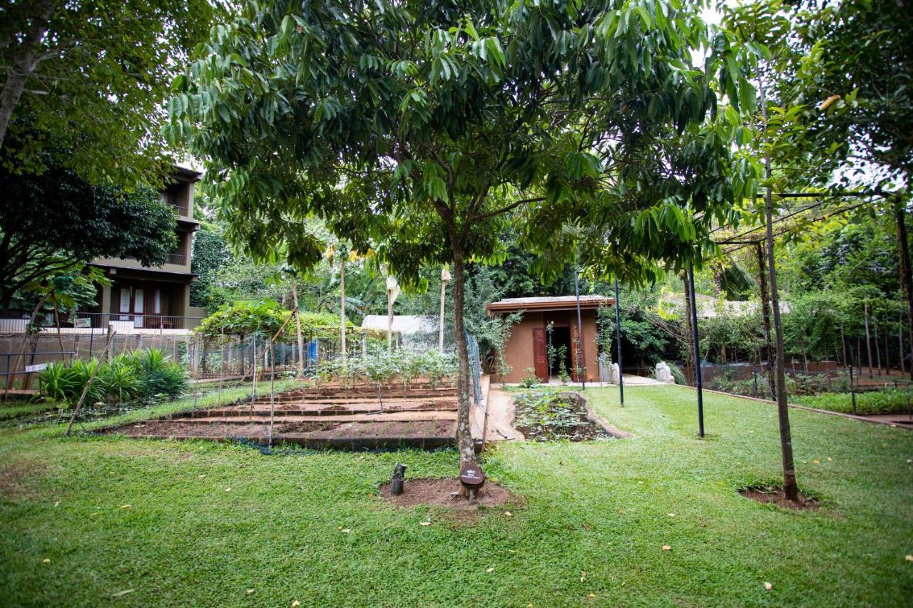 Kalu'S Hideaway Udawalawe Hotel Ngoại thất bức ảnh