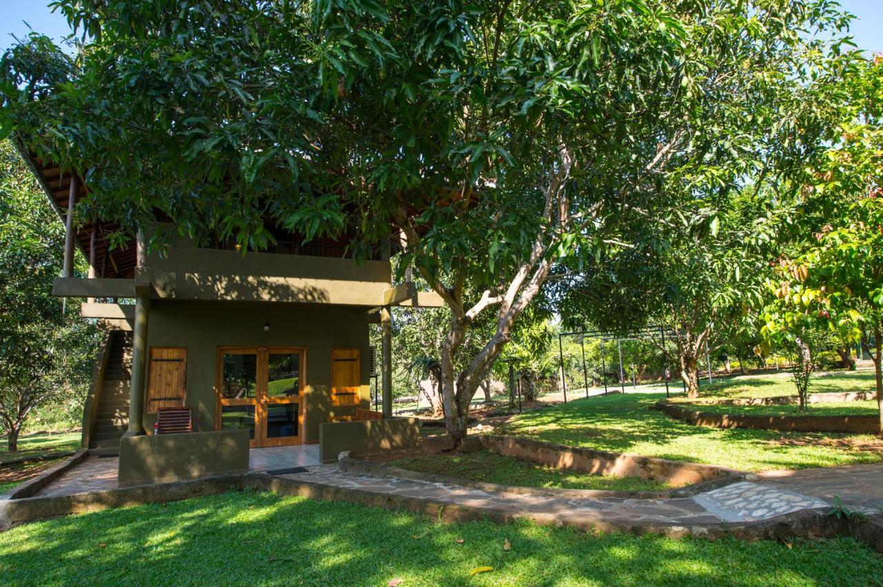 Kalu'S Hideaway Udawalawe Hotel Ngoại thất bức ảnh