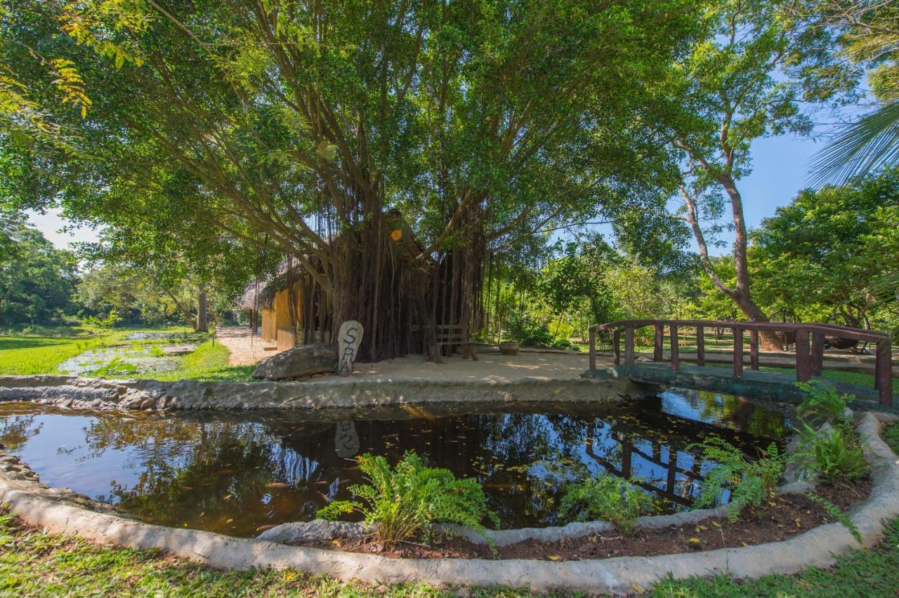 Kalu'S Hideaway Udawalawe Hotel Ngoại thất bức ảnh