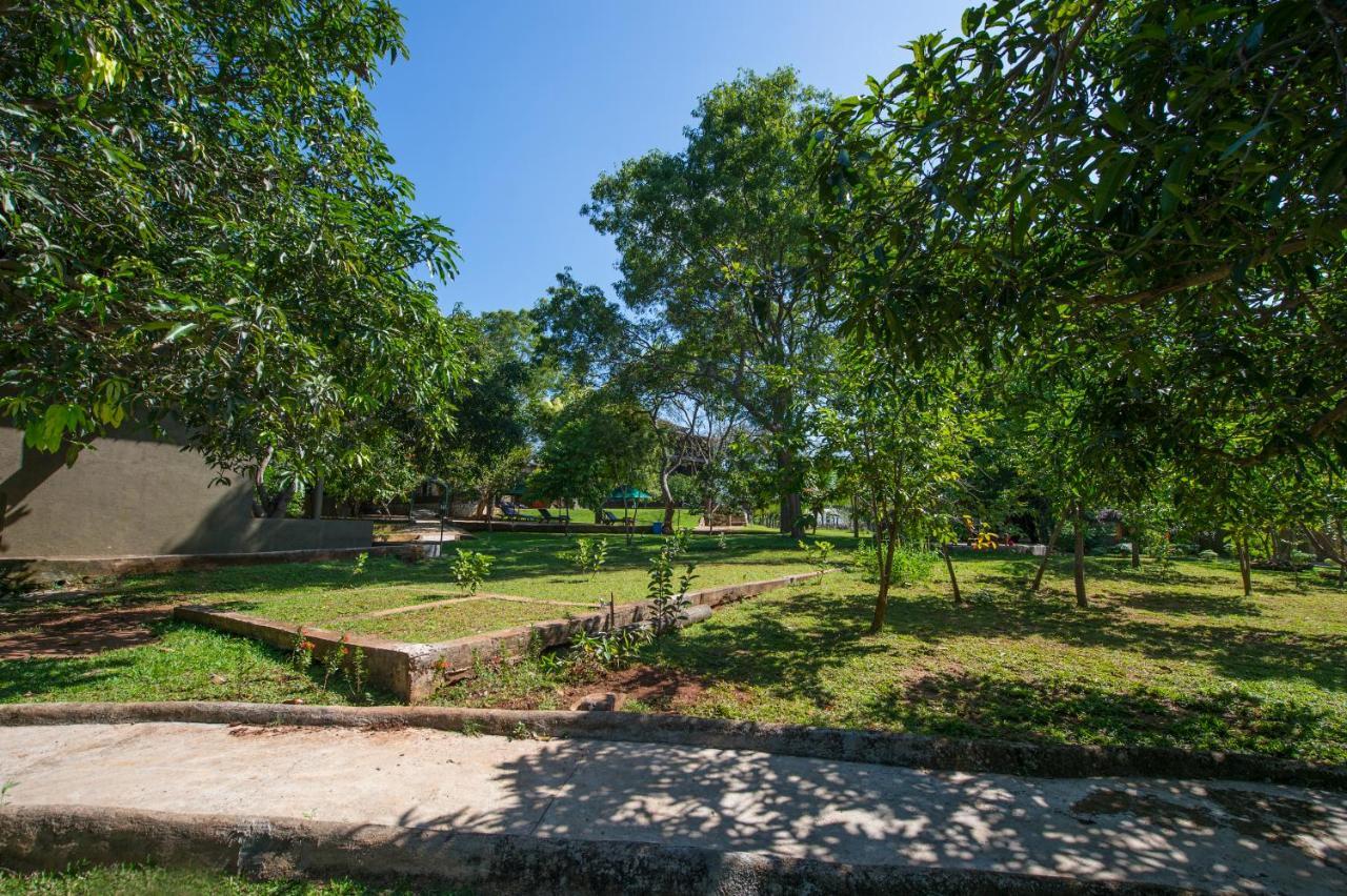 Kalu'S Hideaway Udawalawe Hotel Ngoại thất bức ảnh